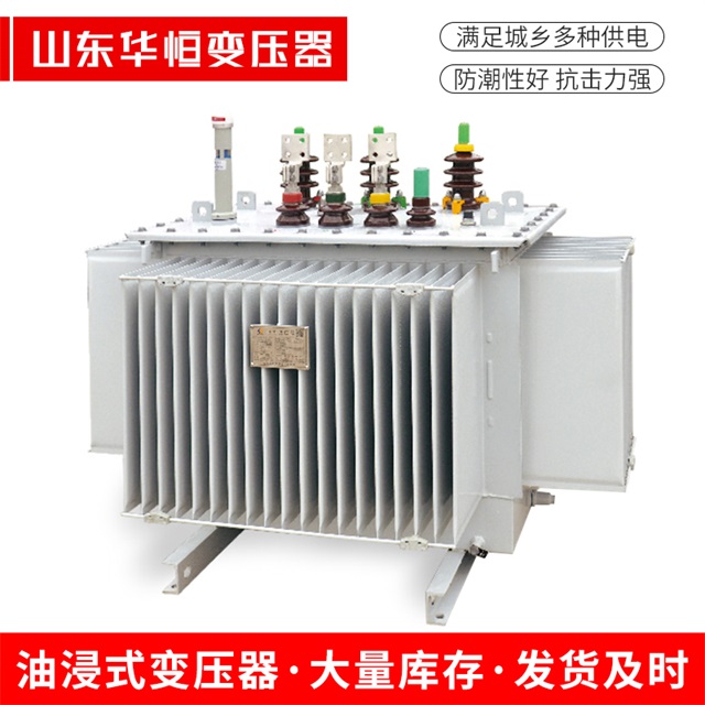 S13-10000/35西林西林西林电力变压器